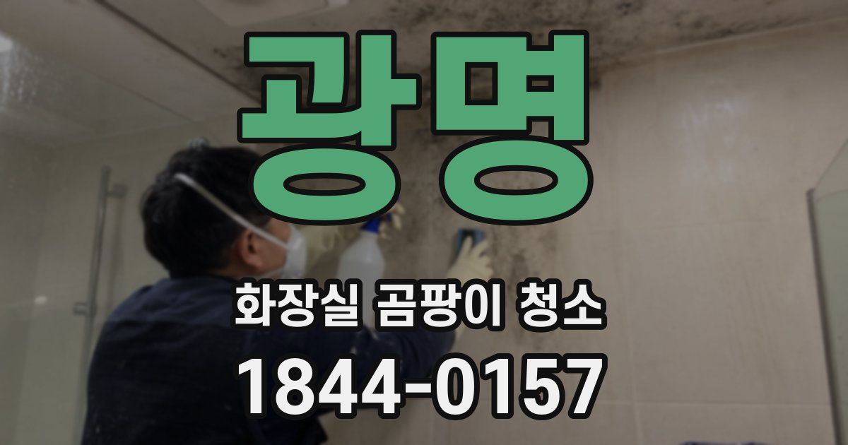 광명 화장실 곰팡이 청소