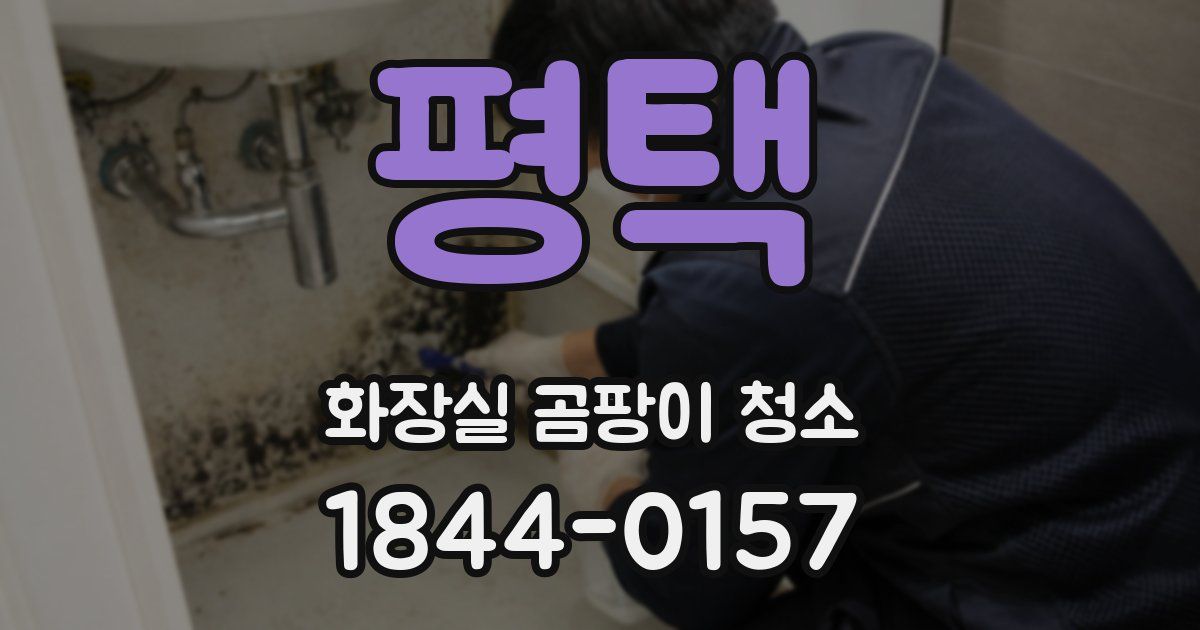 평택 화장실 곰팡이 청소