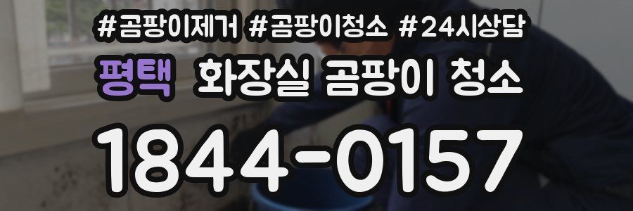평택 화장실 곰팡이 청소