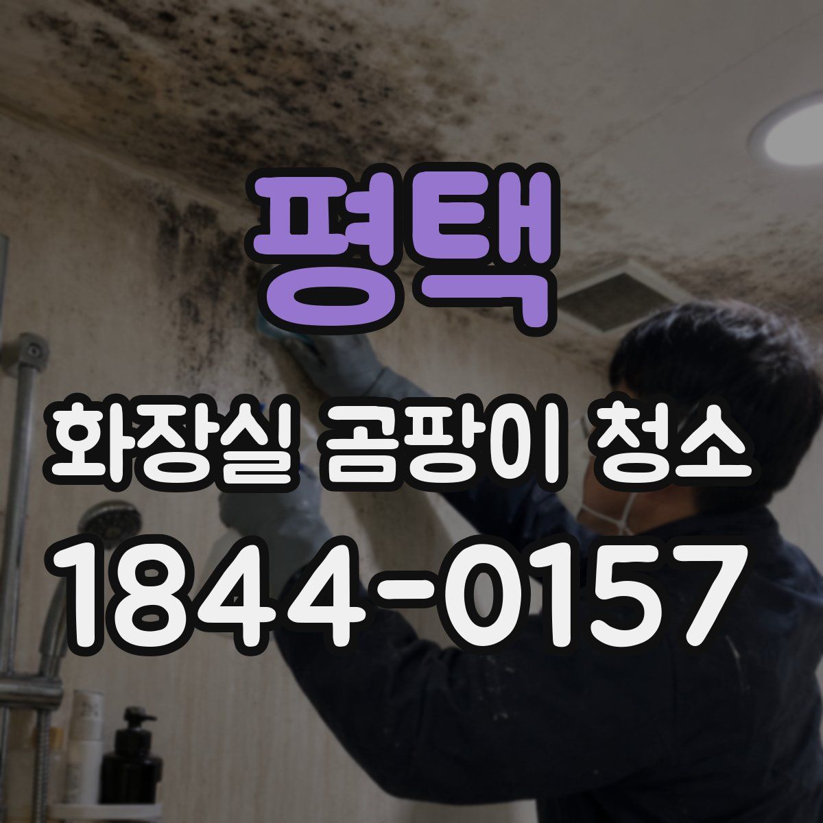 평택 화장실 곰팡이 청소