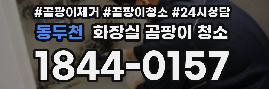 동두천 화장실 곰팡이 청소