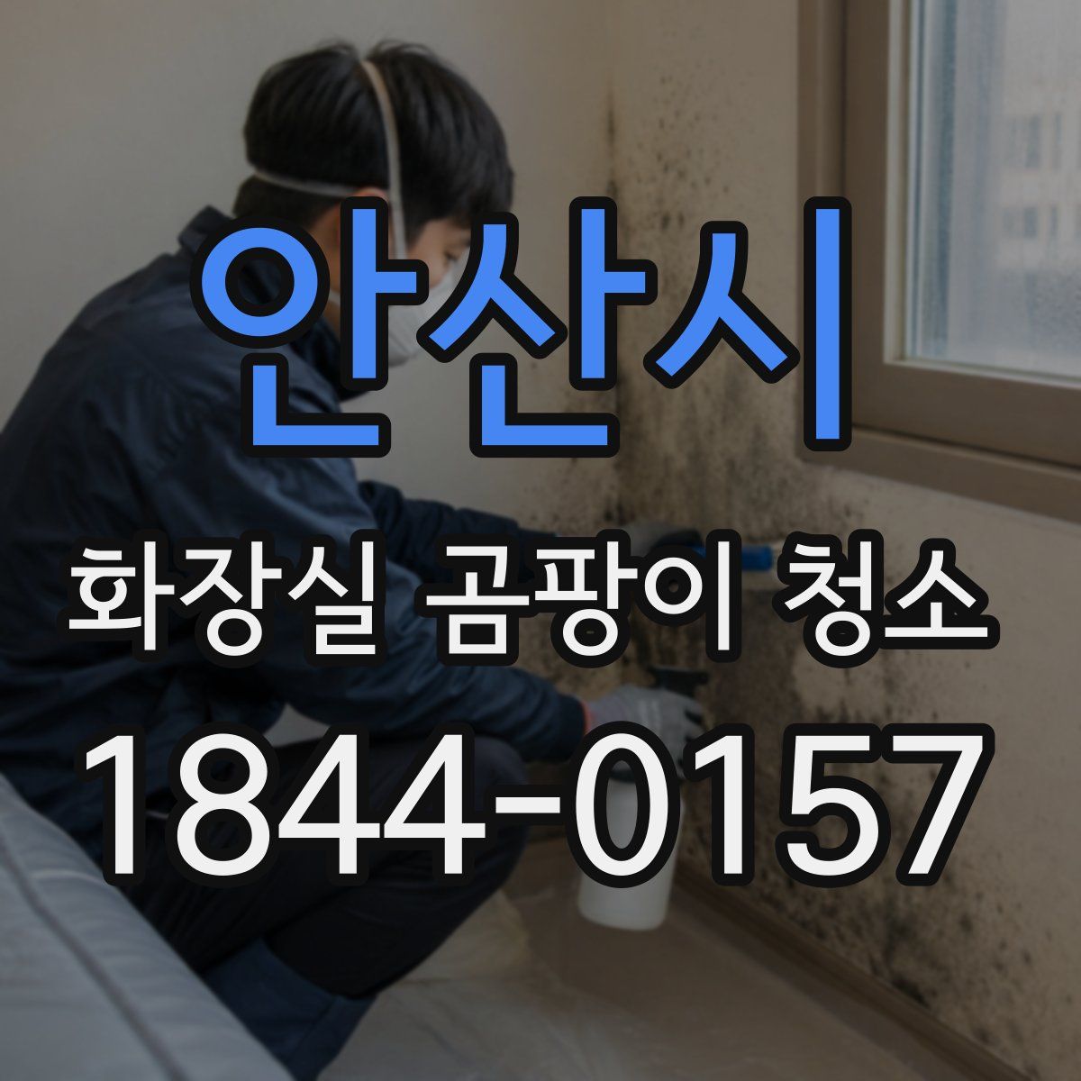 안산시 화장실 곰팡이 청소