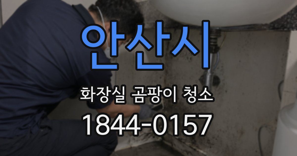 안산시 화장실 곰팡이 청소