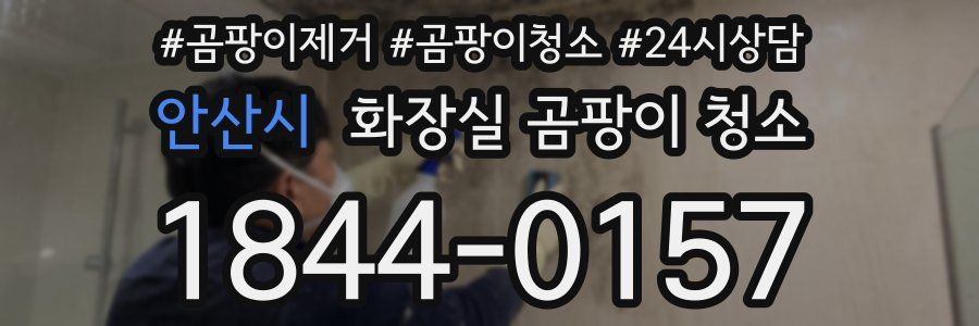 안산시 화장실 곰팡이 청소
