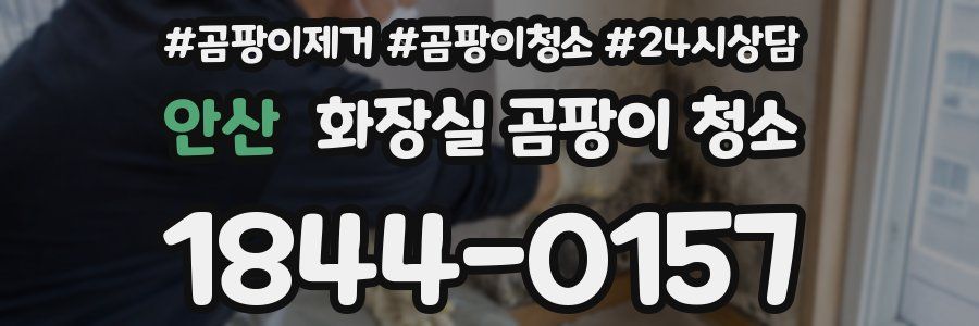 안산 화장실 곰팡이 청소