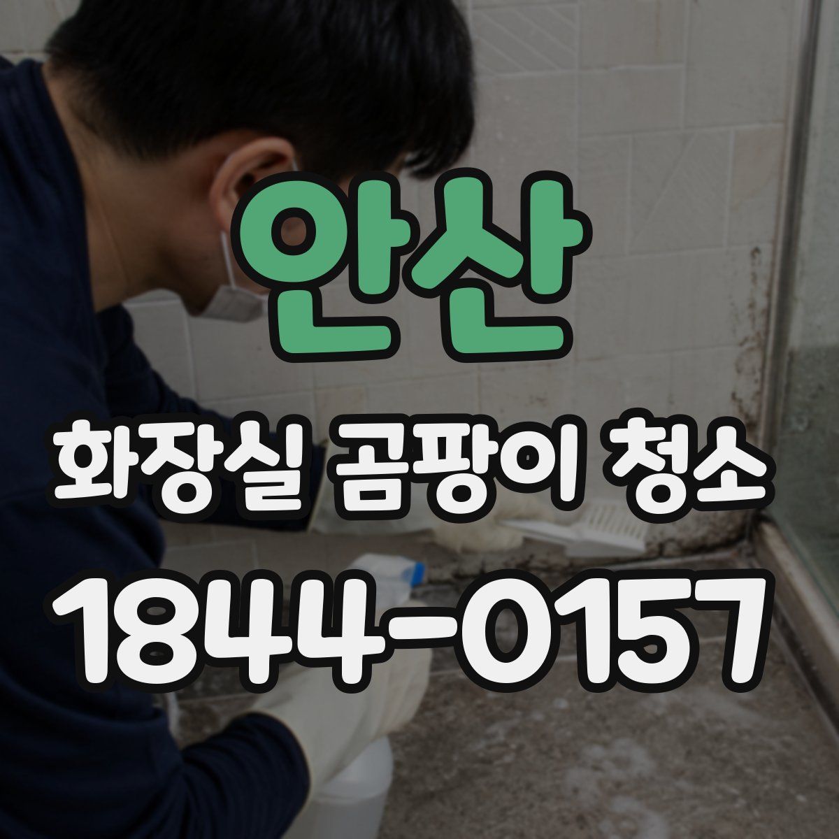 안산 화장실 곰팡이 청소