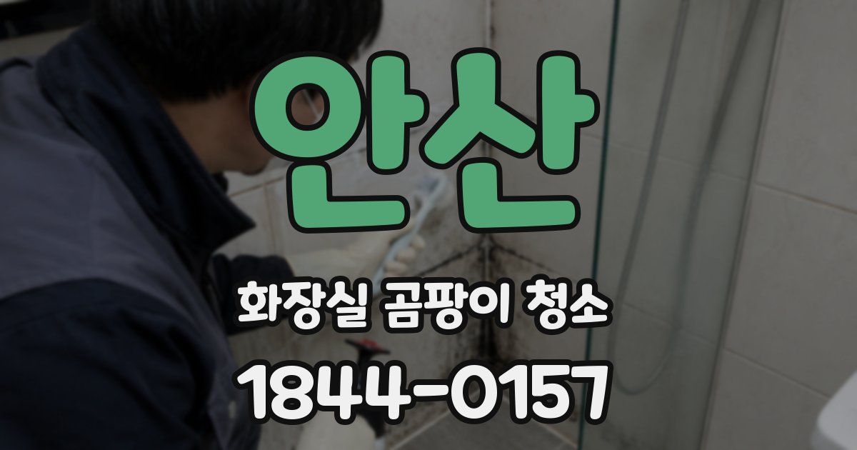 안산 화장실 곰팡이 청소