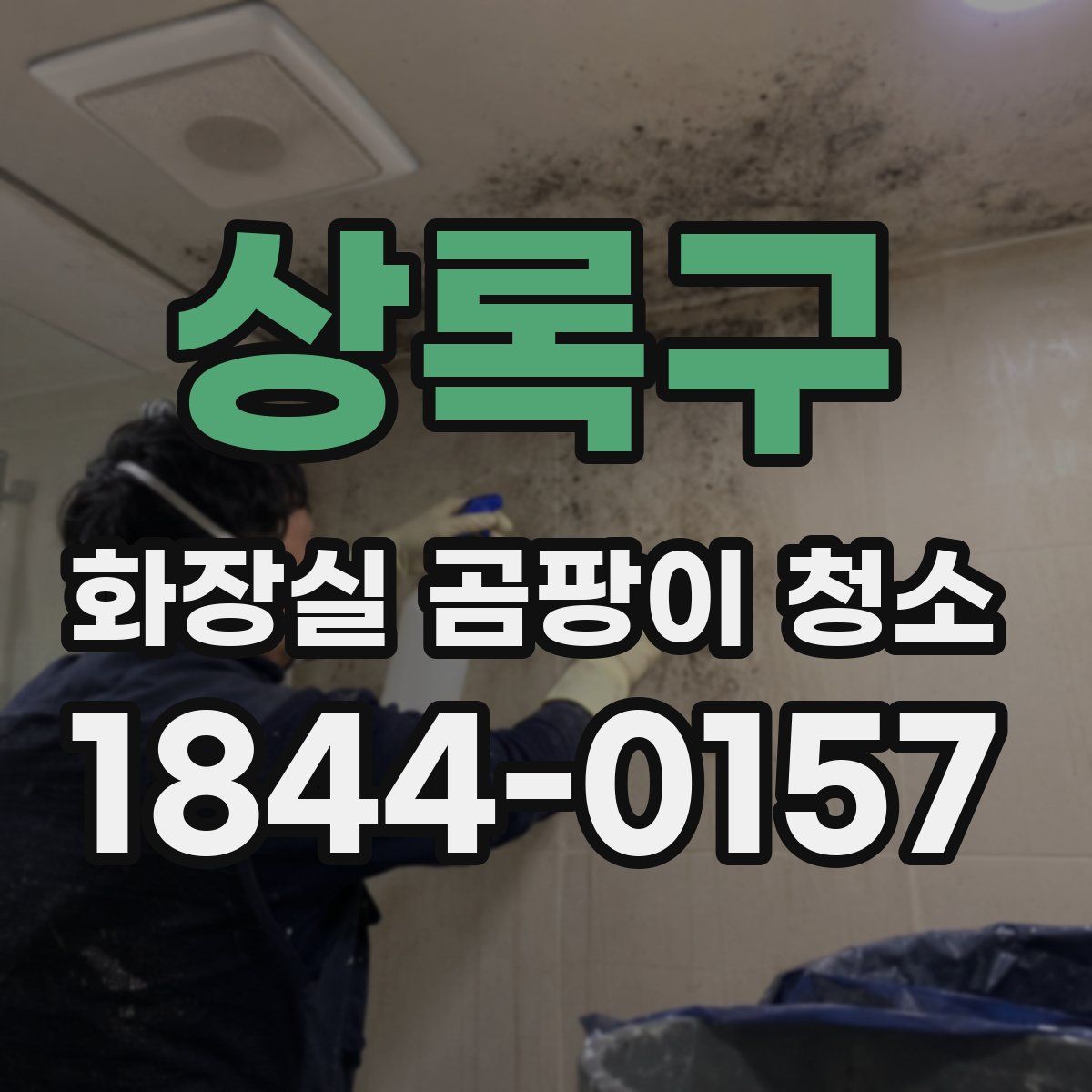 상록구 화장실 곰팡이 청소