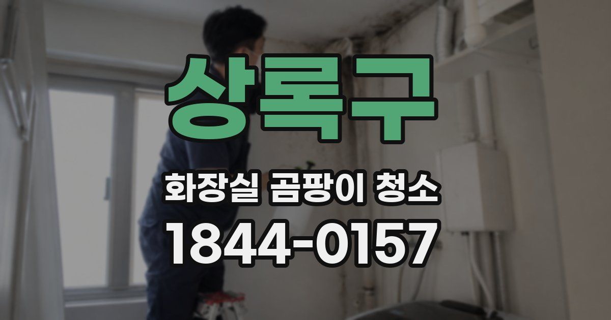상록구 화장실 곰팡이 청소