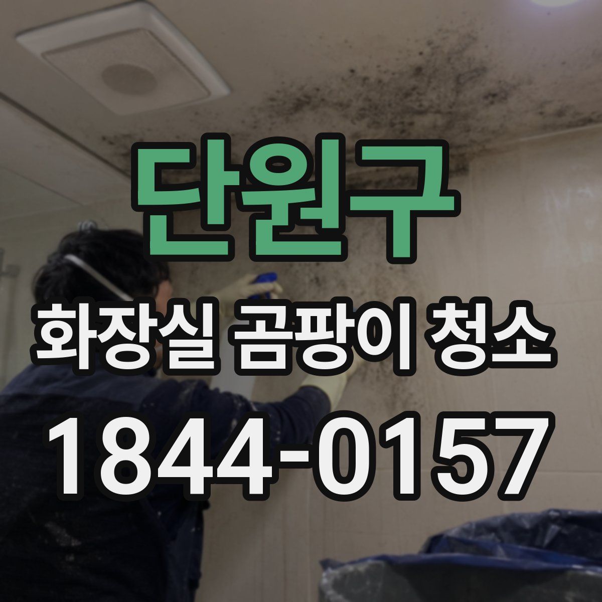 단원구 화장실 곰팡이 청소