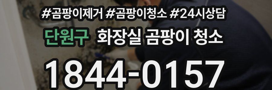 단원구 화장실 곰팡이 청소