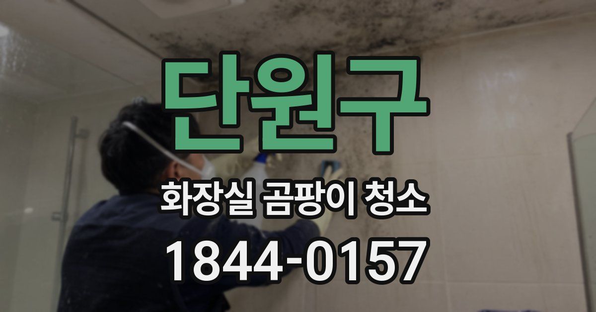 단원구 화장실 곰팡이 청소