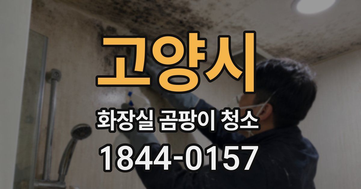 고양시 화장실 곰팡이 청소