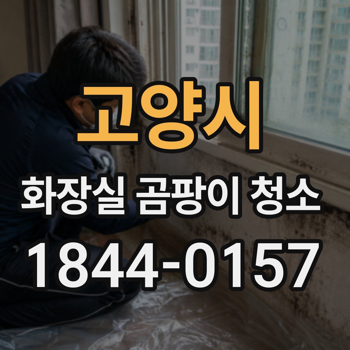 고양시 화장실 곰팡이 청소