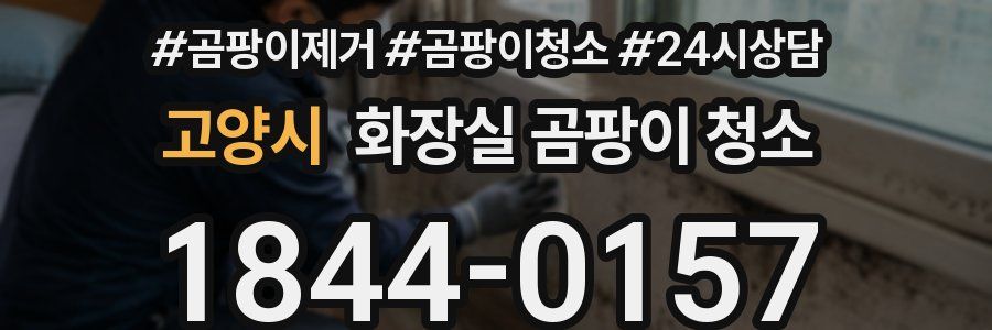 고양시 화장실 곰팡이 청소