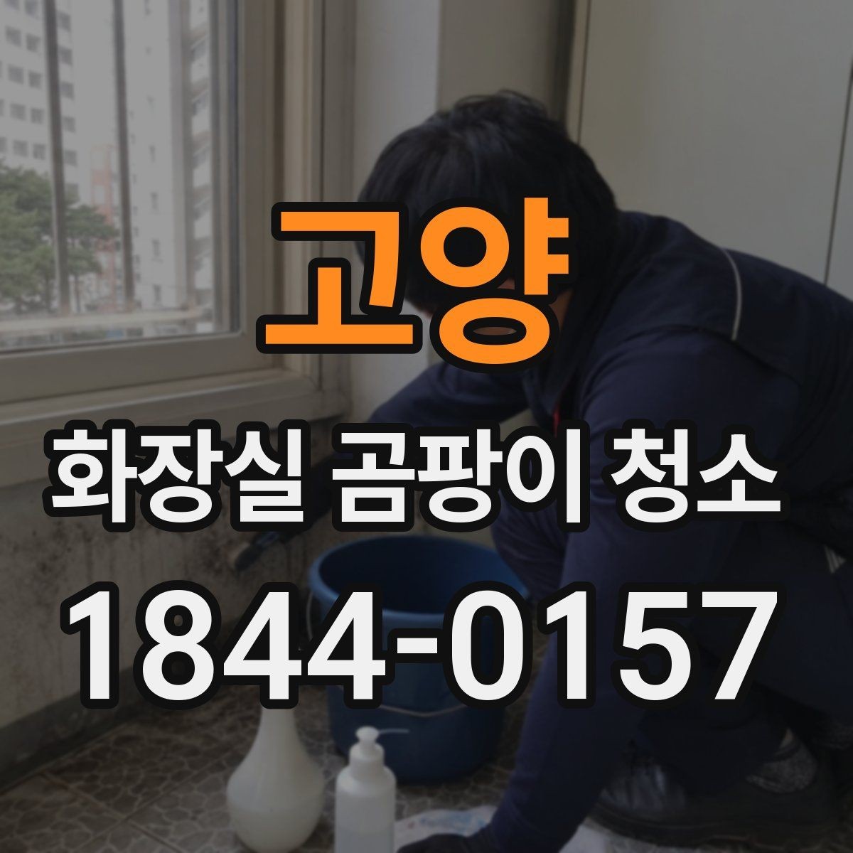 고양 화장실 곰팡이 청소 번진 범위별로 정리하는 순서