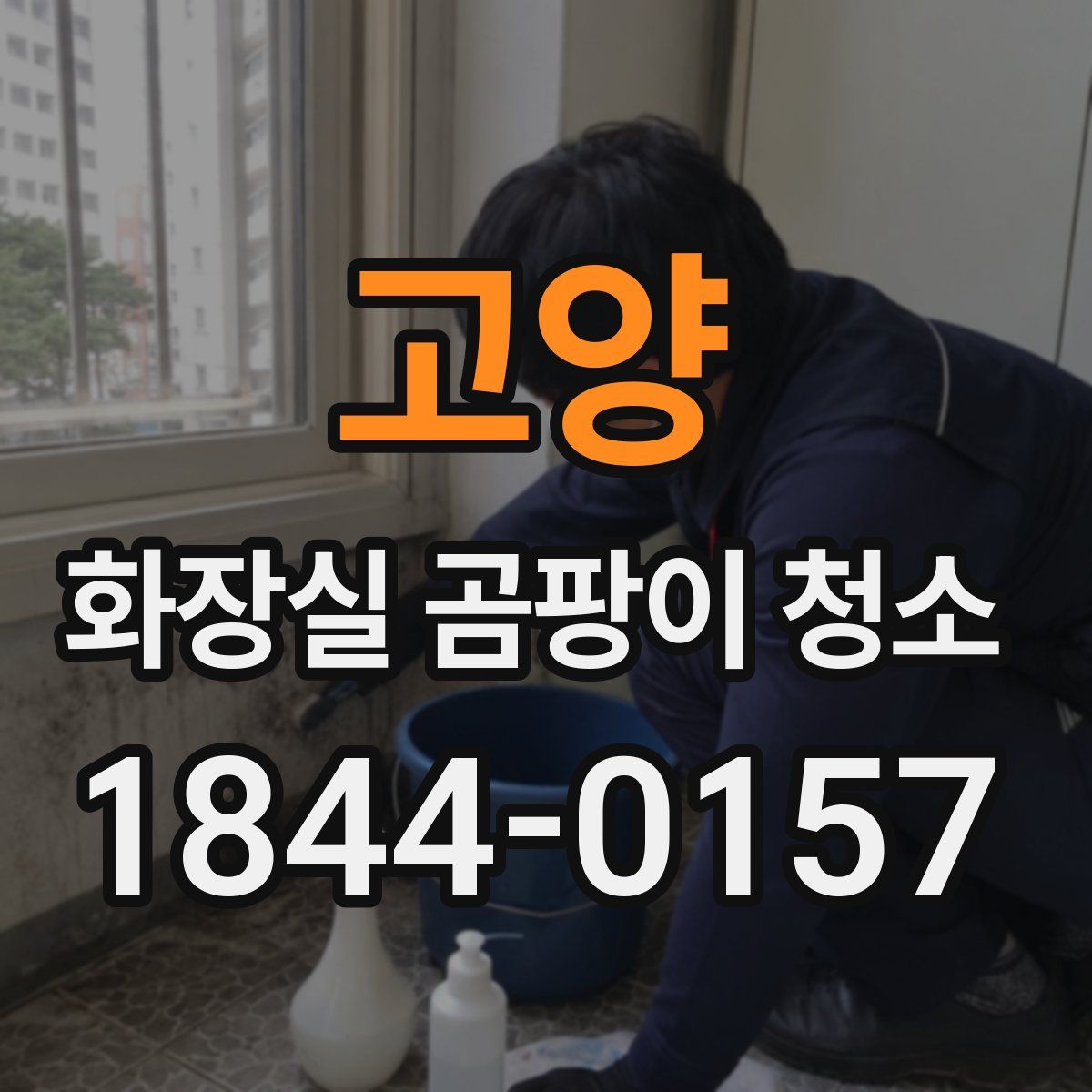 고양 화장실 곰팡이 청소