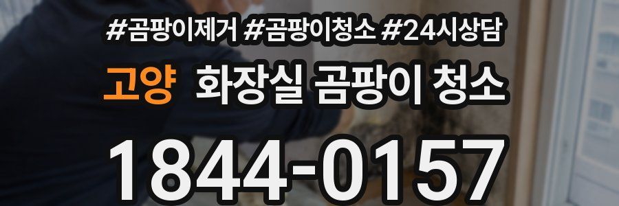 고양 화장실 곰팡이 청소