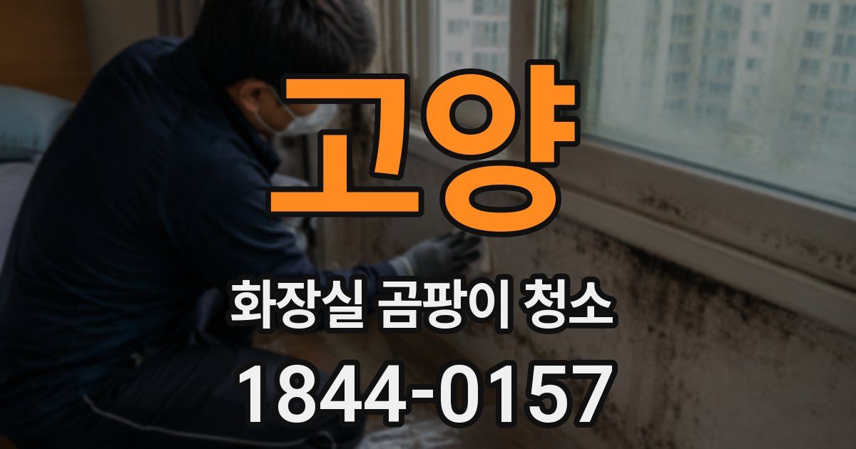 고양 화장실 곰팡이 청소