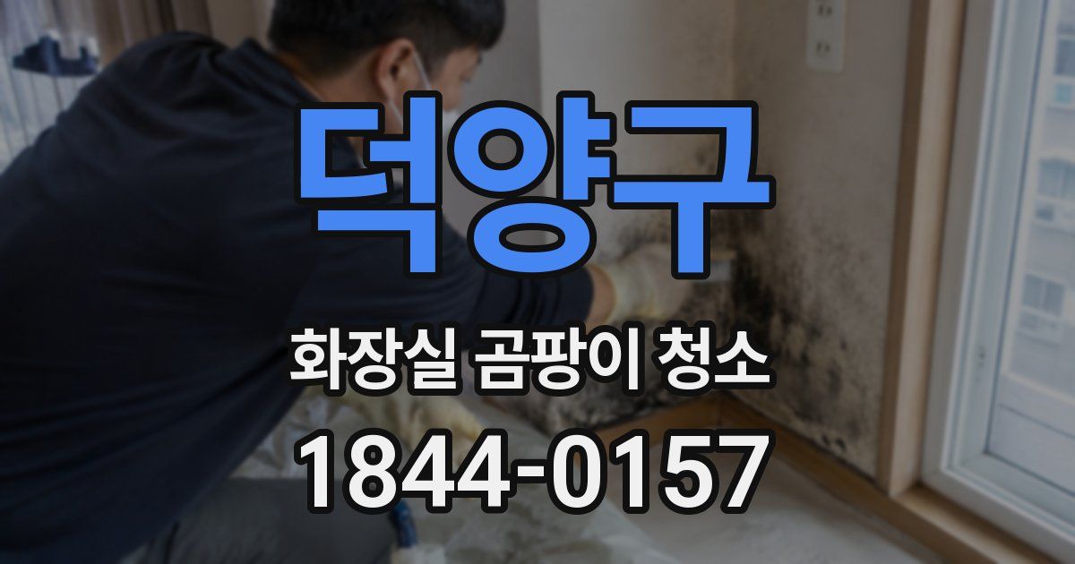 덕양구 화장실 곰팡이 청소