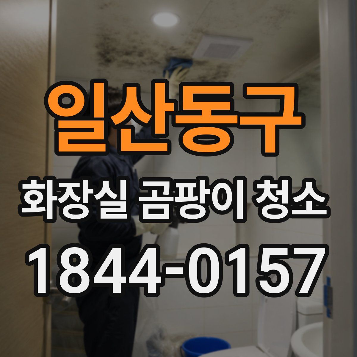 일산동구 화장실 곰팡이 청소