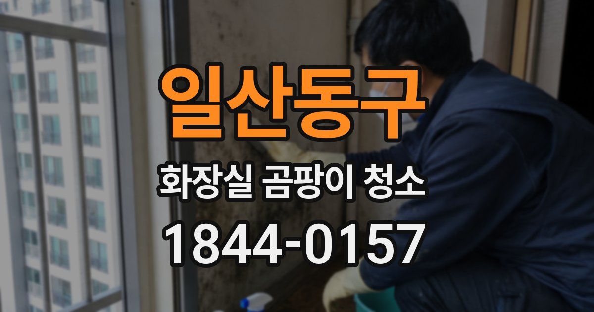 일산동구 화장실 곰팡이 청소