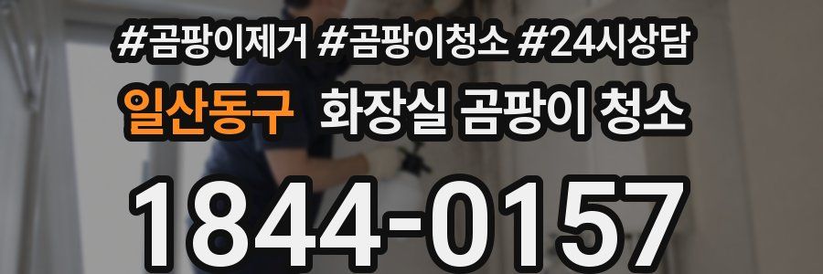 일산동구 화장실 곰팡이 청소