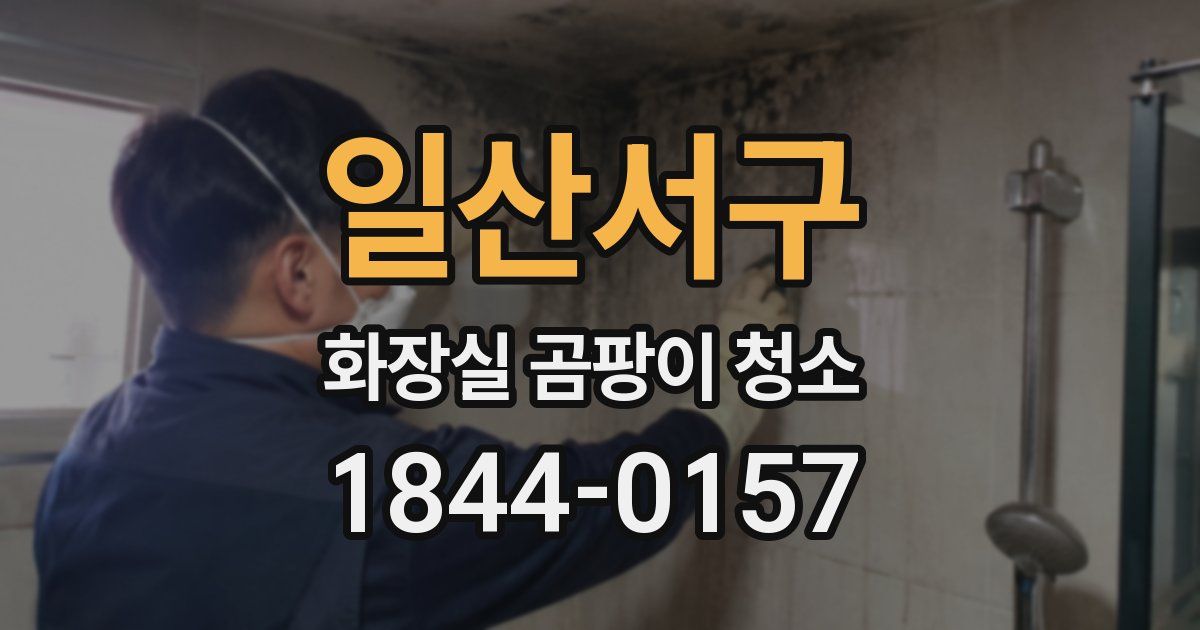 일산서구 화장실 곰팡이 청소