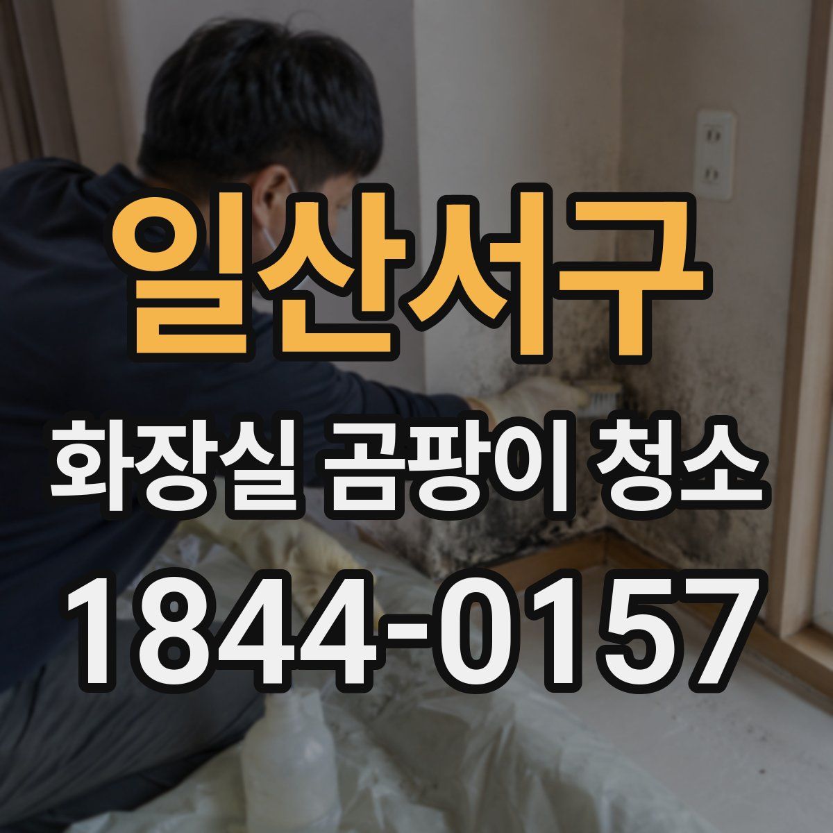 일산서구 화장실 곰팡이 청소