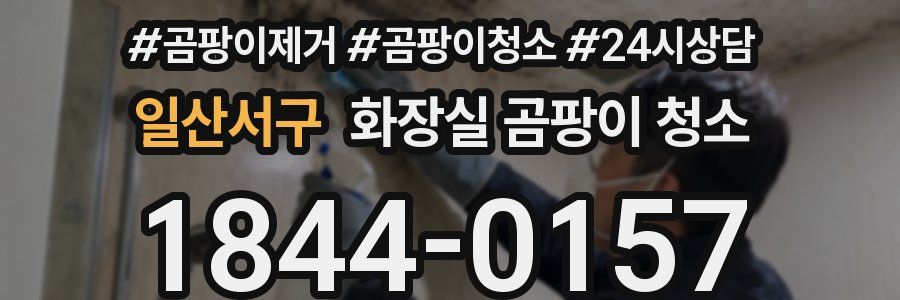 일산서구 화장실 곰팡이 청소