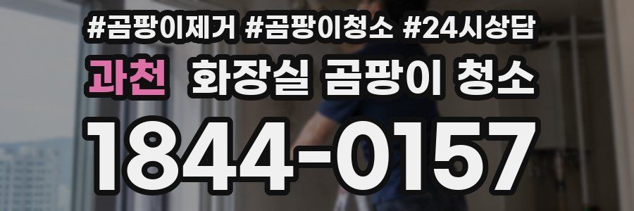 과천 화장실 곰팡이 청소