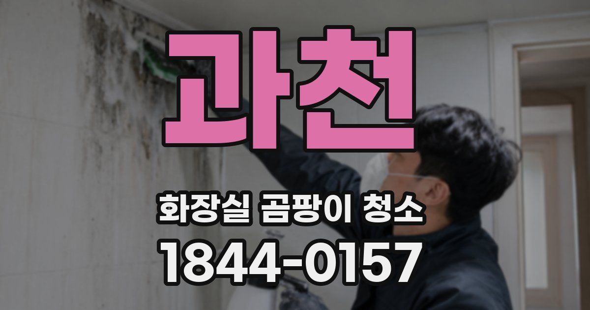 과천 화장실 곰팡이 청소