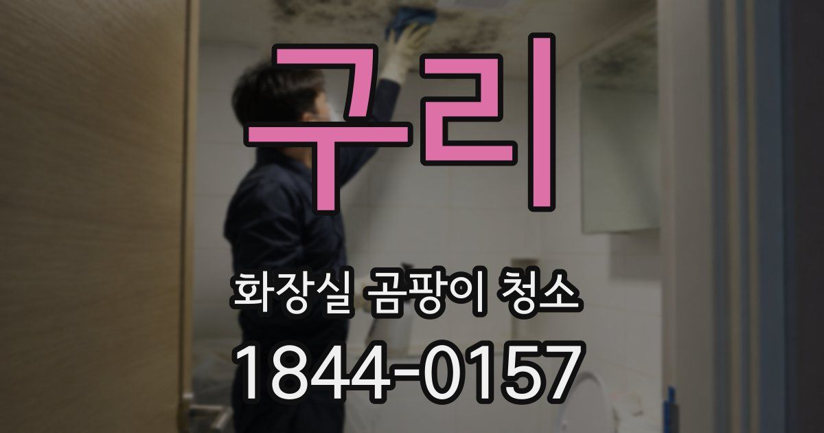 구리 화장실 곰팡이 청소