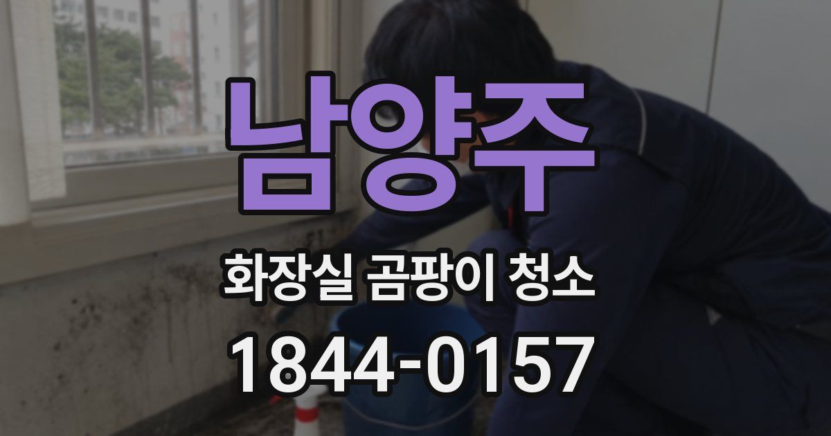 남양주 화장실 곰팡이 청소