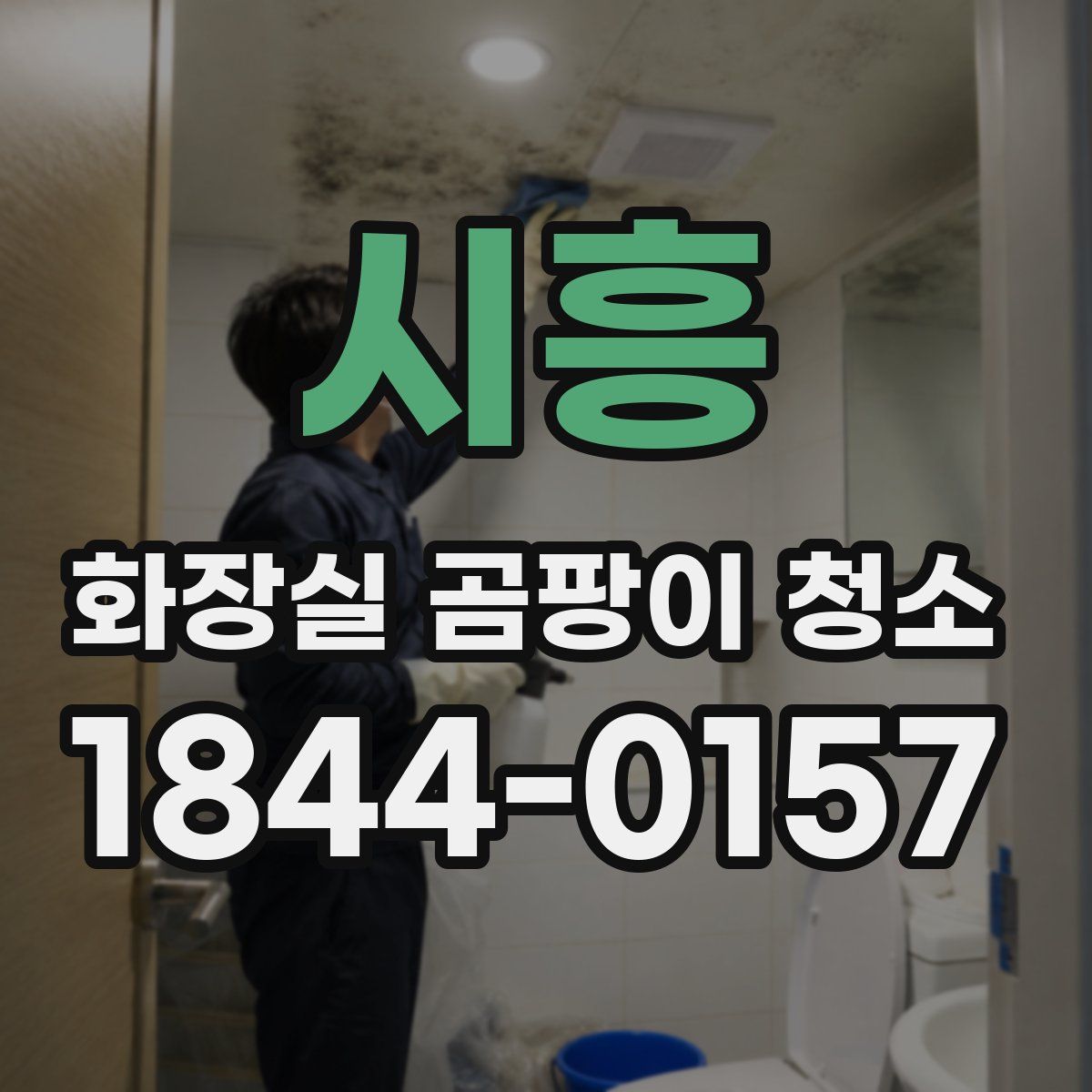 시흥 화장실 곰팡이 청소