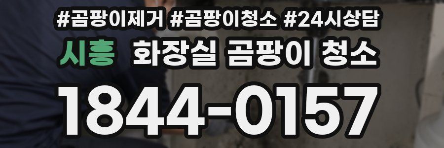 시흥 화장실 곰팡이 청소