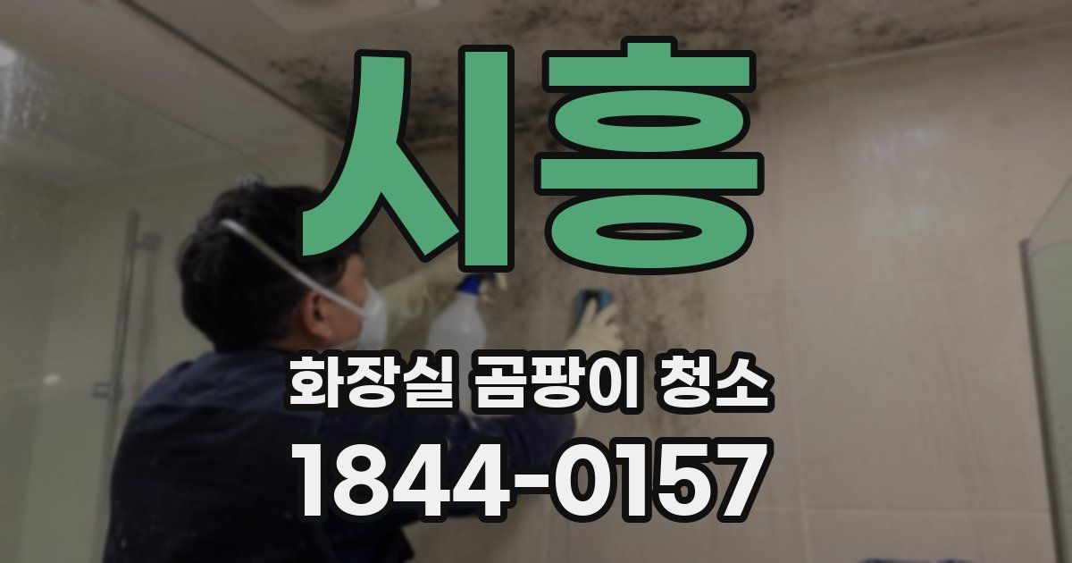 시흥 화장실 곰팡이 청소