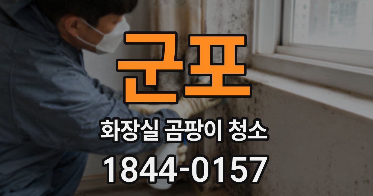 군포 화장실 곰팡이 청소