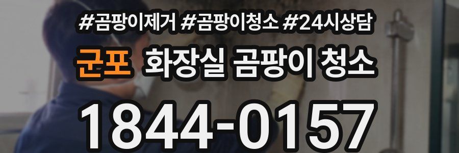 군포 화장실 곰팡이 청소