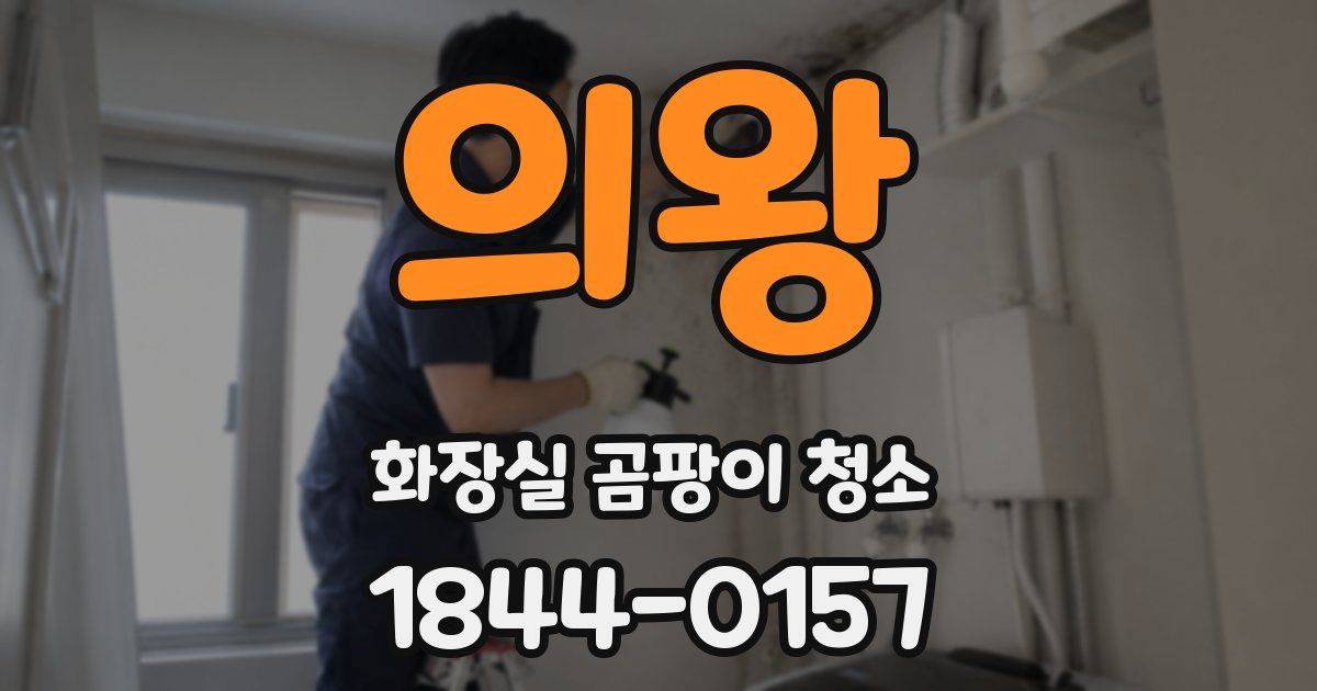 의왕 화장실 곰팡이 청소