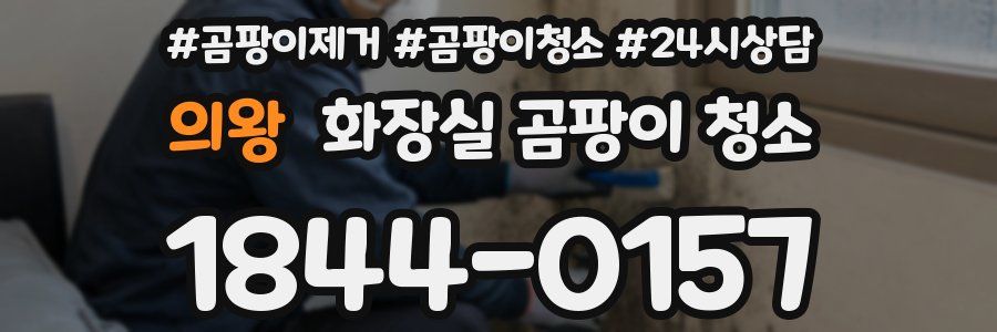 의왕 화장실 곰팡이 청소