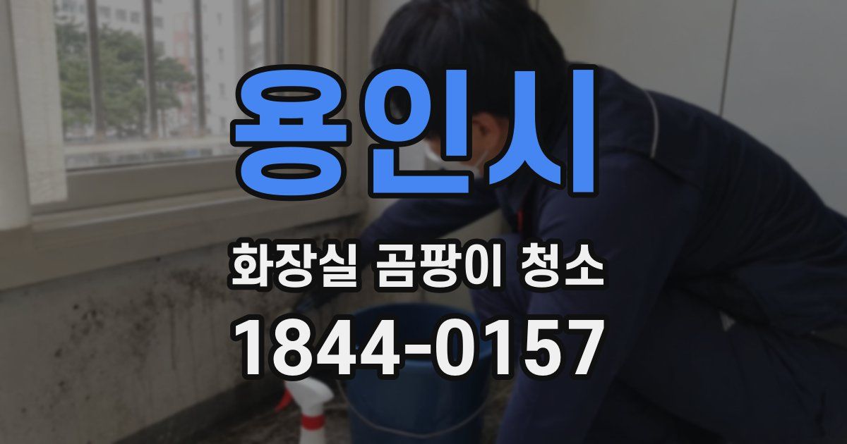 용인시 화장실 곰팡이 청소
