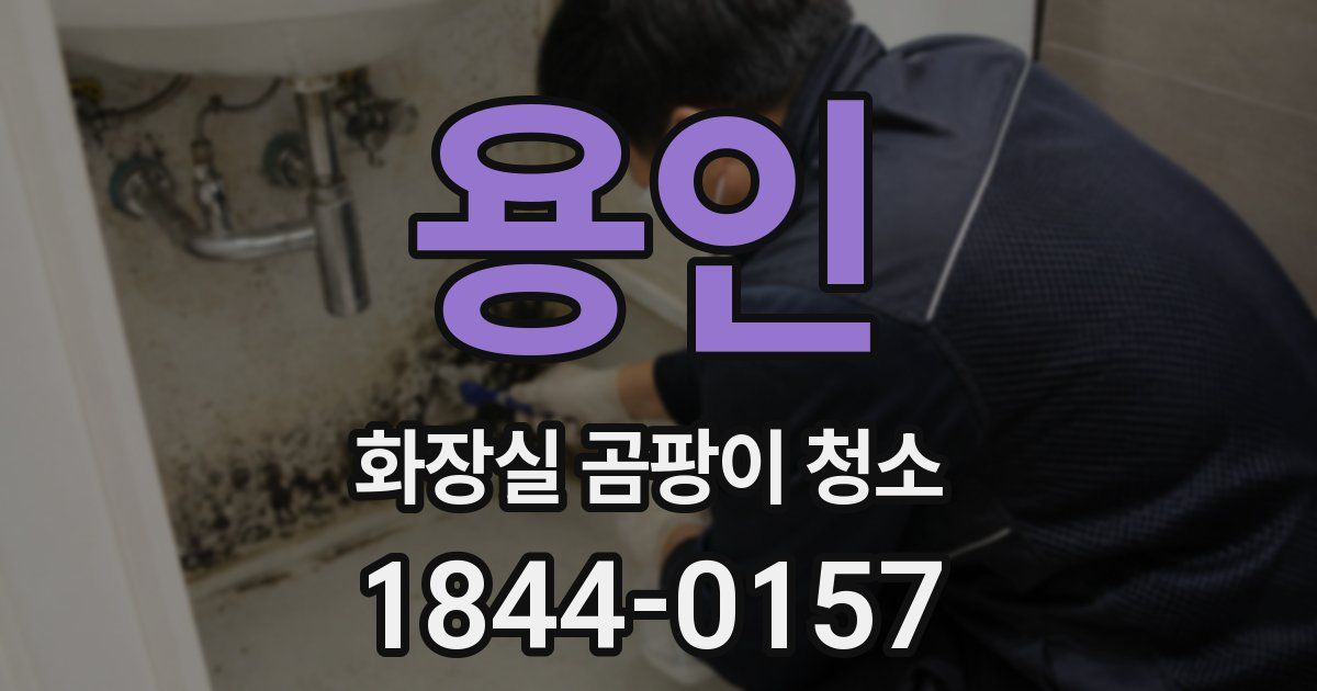 용인 화장실 곰팡이 청소