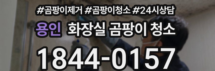 용인 화장실 곰팡이 청소