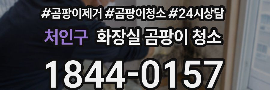 처인구 화장실 곰팡이 청소