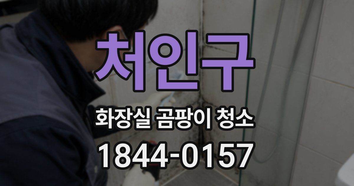 처인구 화장실 곰팡이 청소