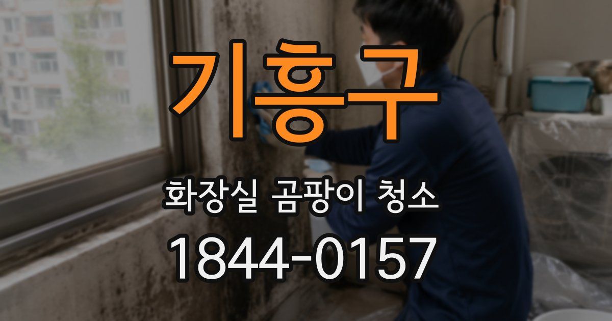 기흥구 화장실 곰팡이 청소