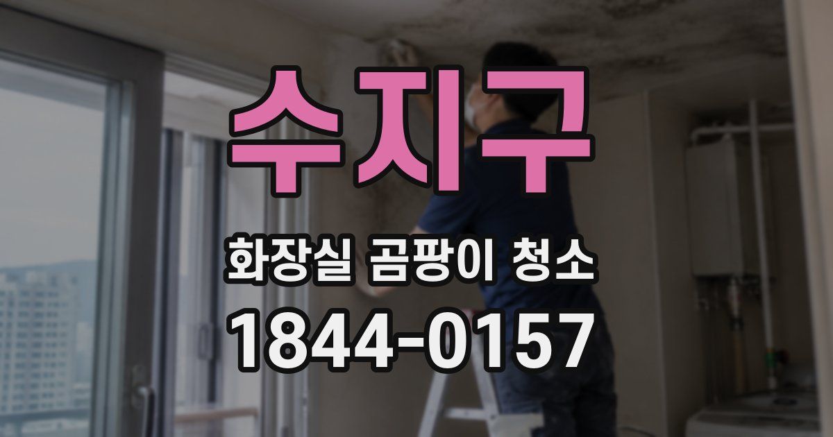 수지구 화장실 곰팡이 청소