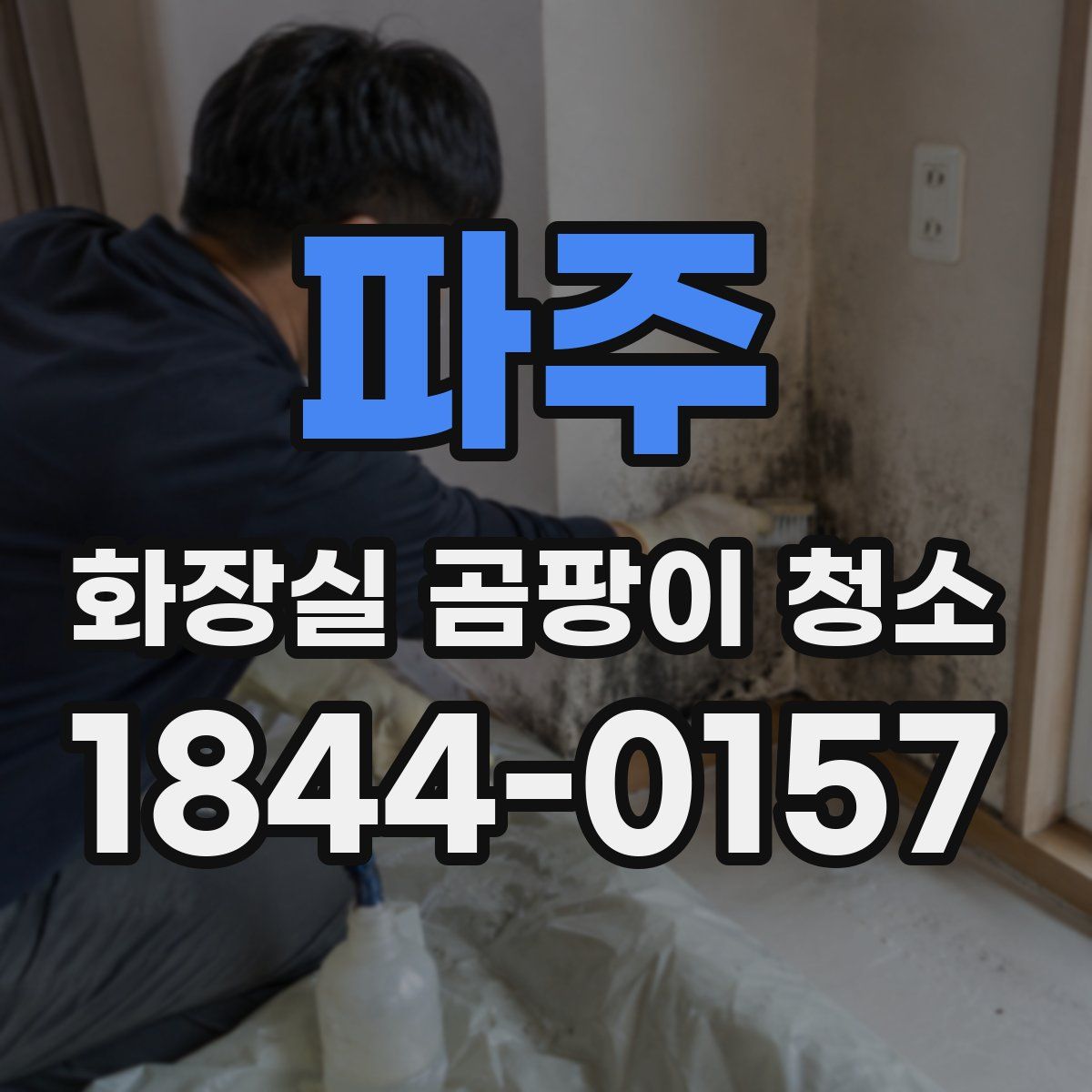 파주 화장실 곰팡이 청소