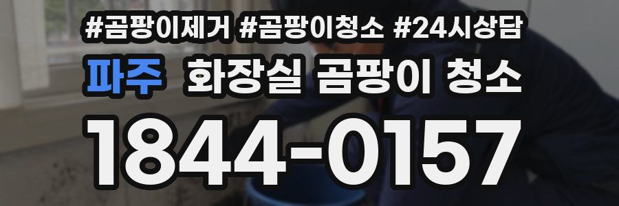 파주 화장실 곰팡이 청소